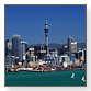 auckland-pop-up