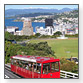 wellington-pop-up